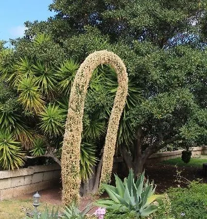 Casa Robinson Holiday home Guia de Isora (Tenerife)